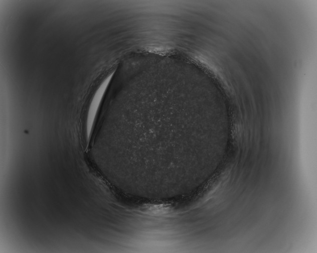 X0000088670689200706141336