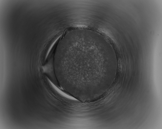 X0000088670692200706141336