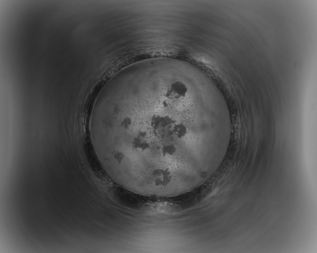 X0000088670695200706141336
