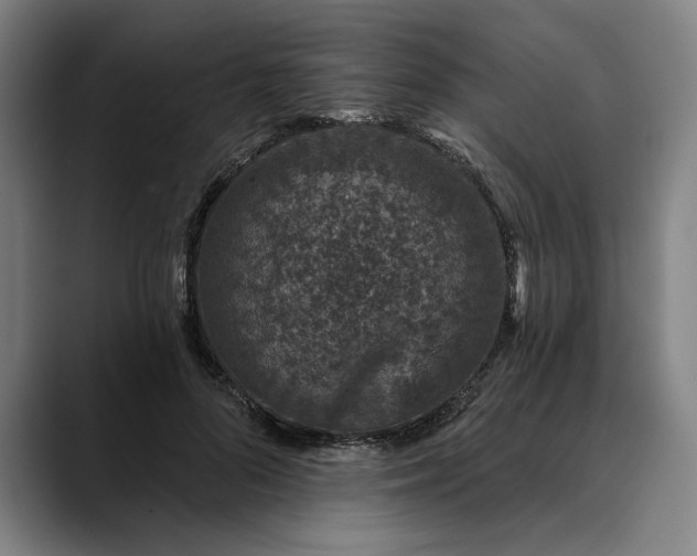 X0000088670696200706141336
