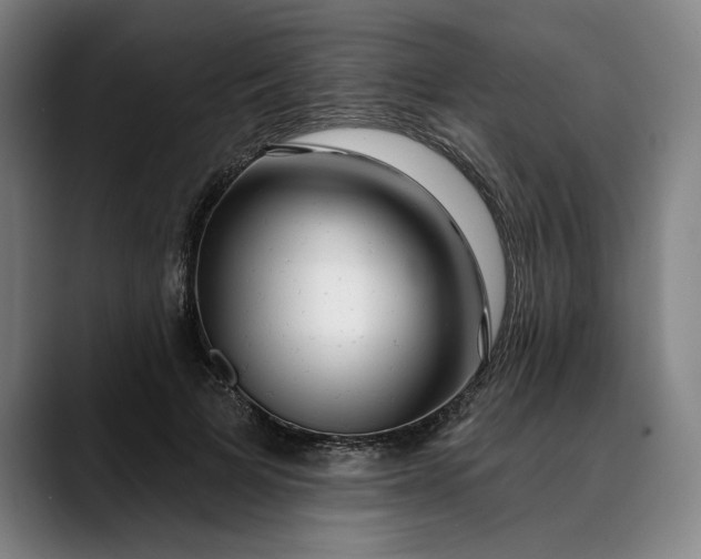 X0000088670697200706141336