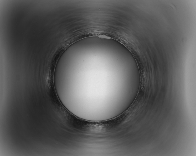 X0000088670698200706141336