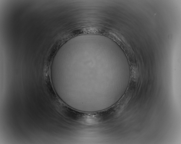X0000088670701200706141336