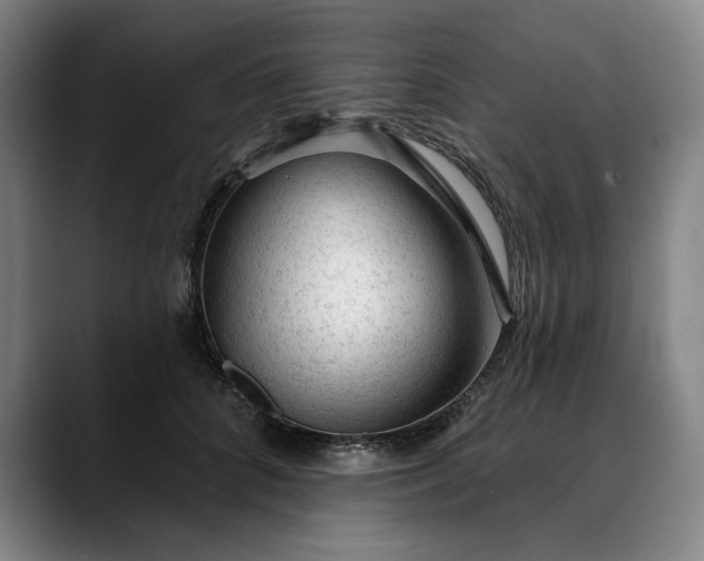 X0000088670704200706141336