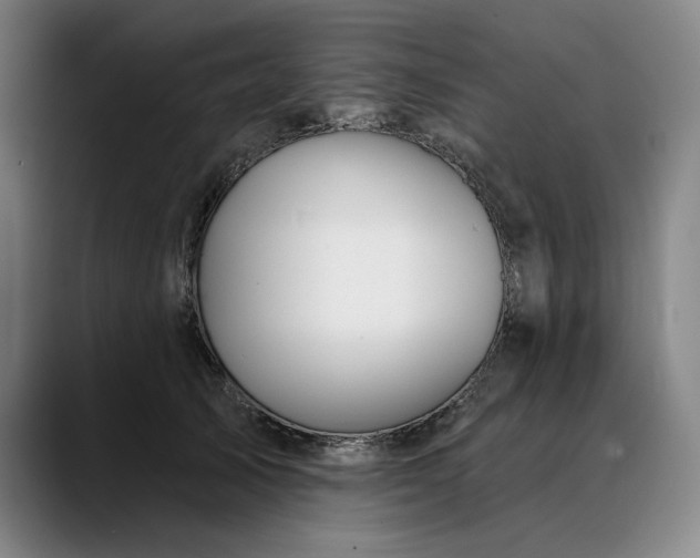 X0000088670705200706141336