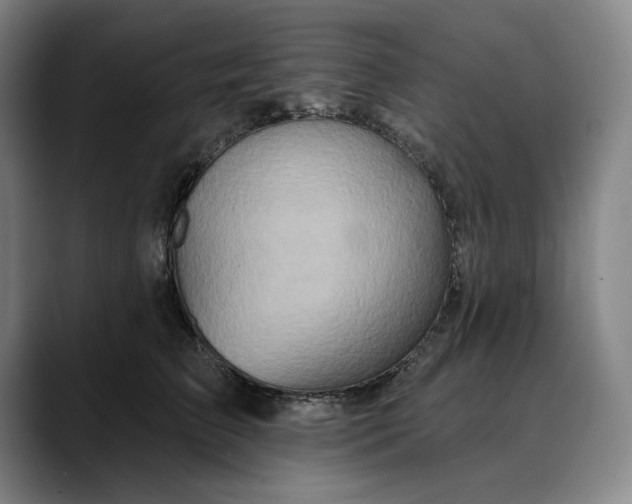 X0000088670709200706141336