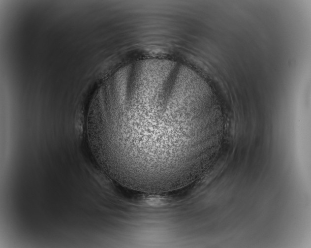 X0000088670710200706141336