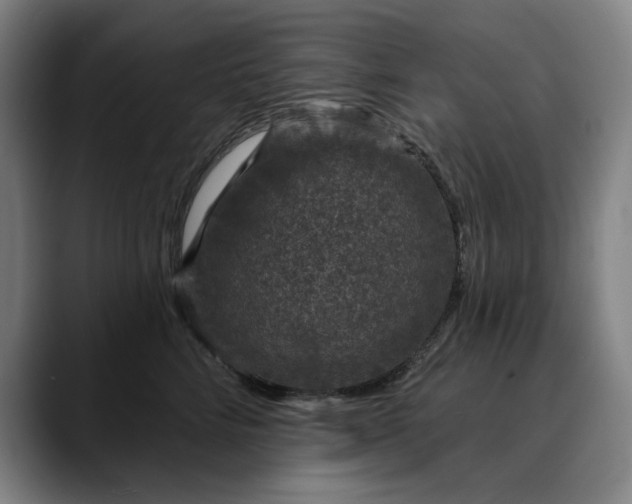 X0000088670712200706141336