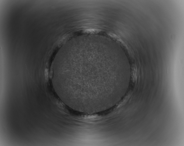 X0000088670716200706141336