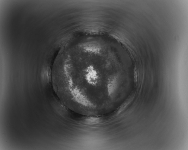 X0000088670718200706141336