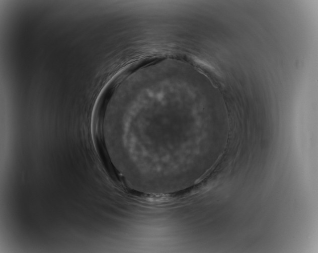 X0000088670720200706141336