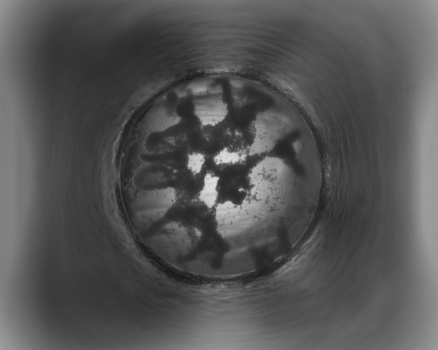 X0000088670721200706141335