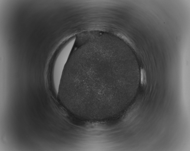 X0000088670723200706141335