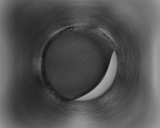 X0000088670724200706141335