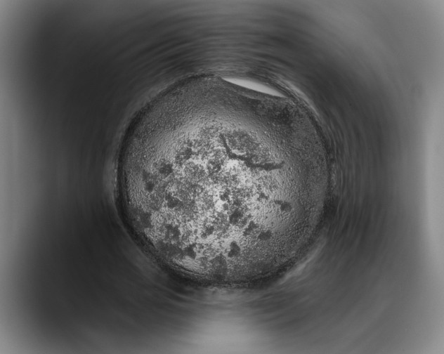 X0000088670725200706141335