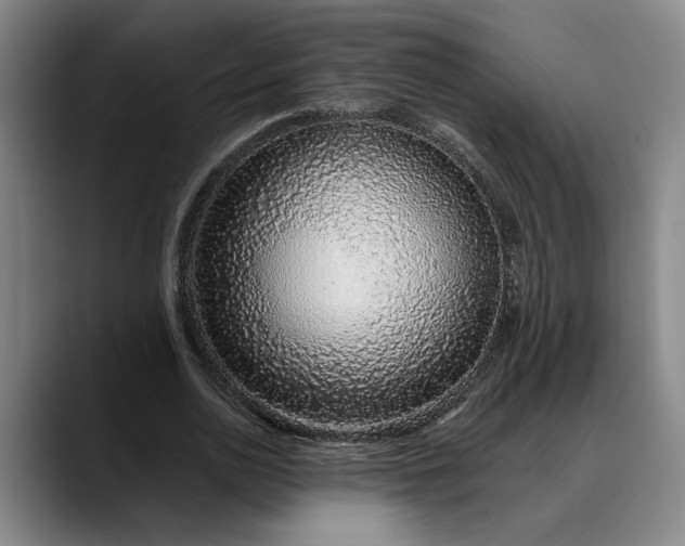 X0000088670726200706141335