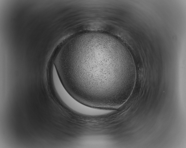 X0000088670727200706141335