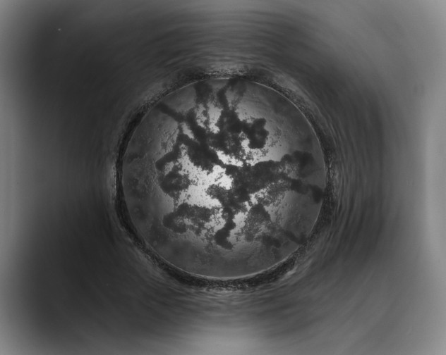 X0000088670729200706141335
