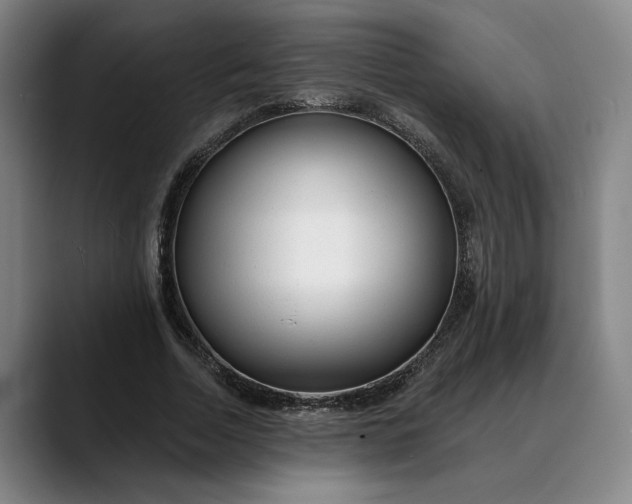 X0000088670730200706141335