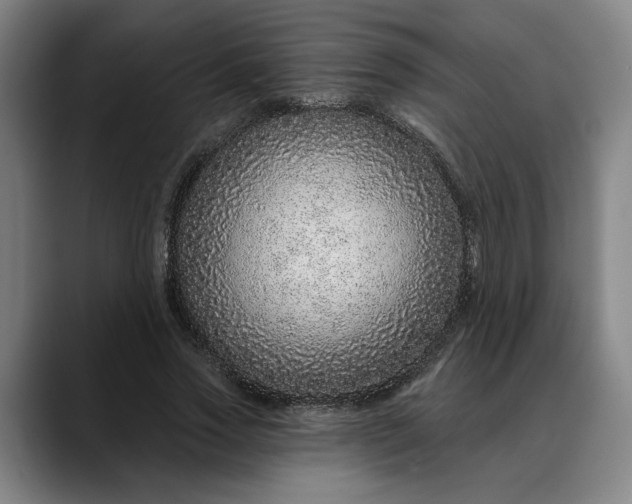 X0000088670733200706141335