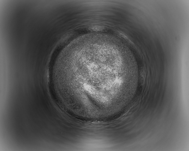 X0000088670734200706141335