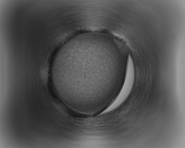 X0000088670736200706141335