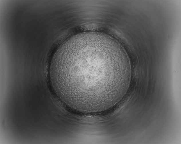 X0000088670737200706141335