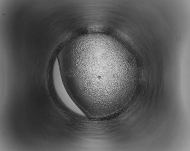 X0000088670738200706141335