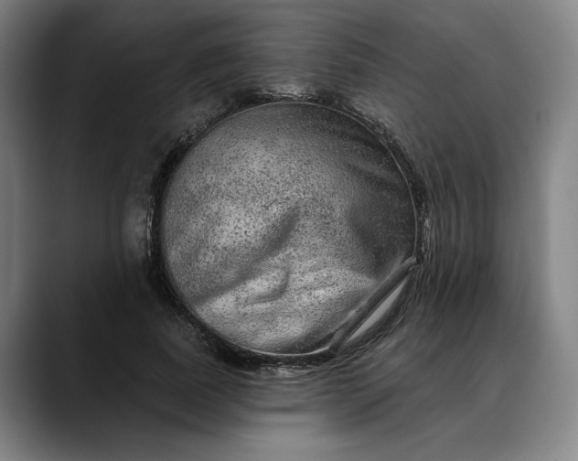 X0000088670739200706141335
