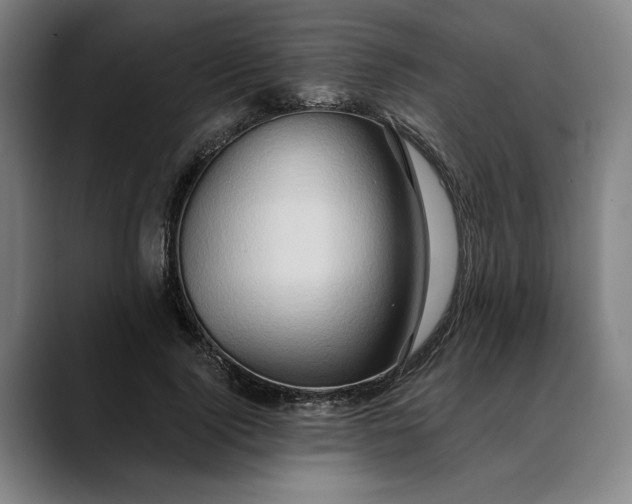 X0000088670740200706141335