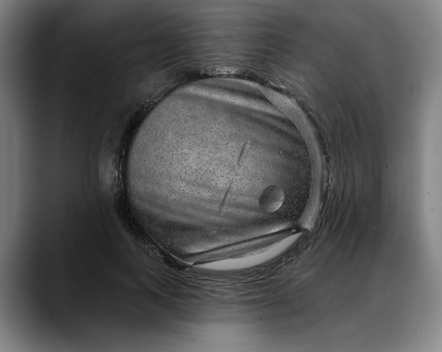 X0000088670743200706141336
