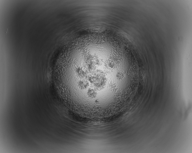 X0000088670745200706141336