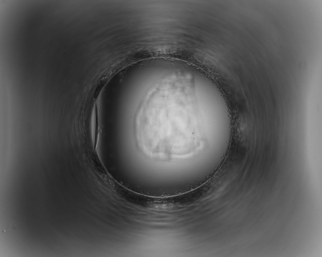 X0000088670746200706141336
