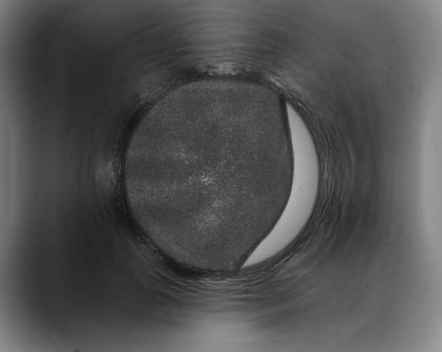 X0000088670747200706141336
