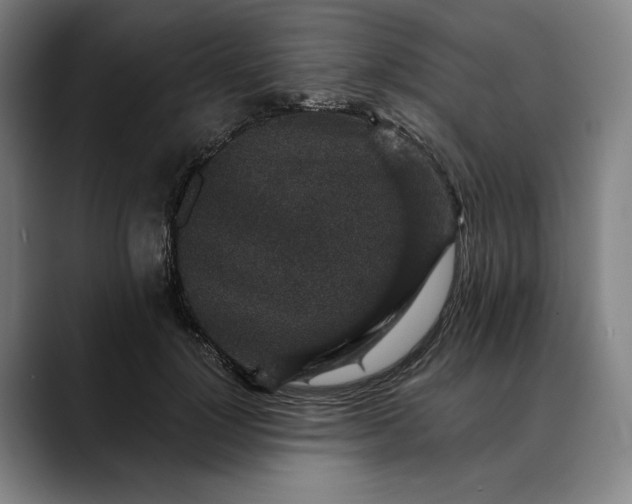 X0000088670748200706141336