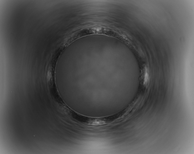 X0000088670754200706141336