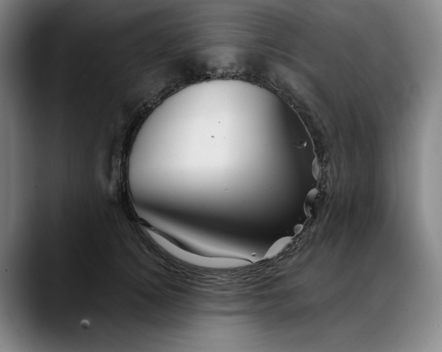 X0000088670756200706141336