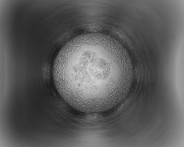 X0000088670757200706141336