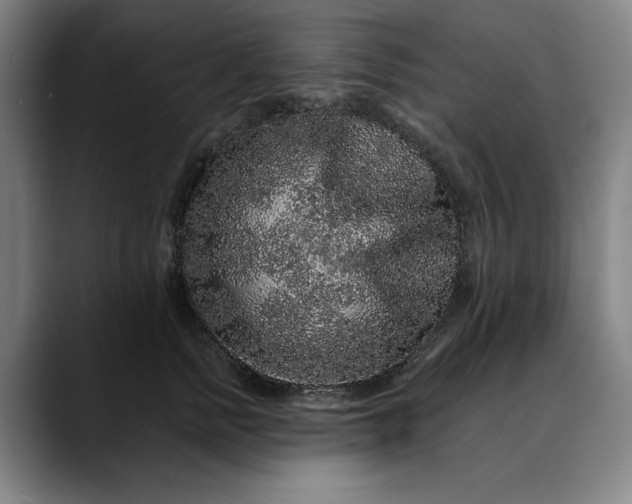 X0000088670758200706141336