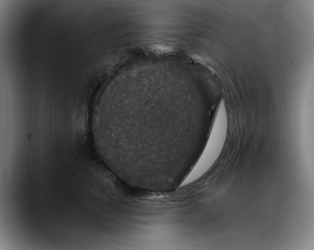 X0000088670760200706141336