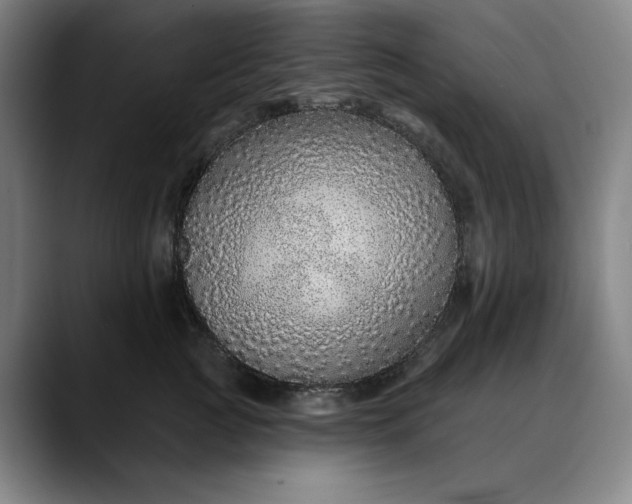 X0000088670761200706141336