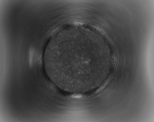 X0000088670762200706141336