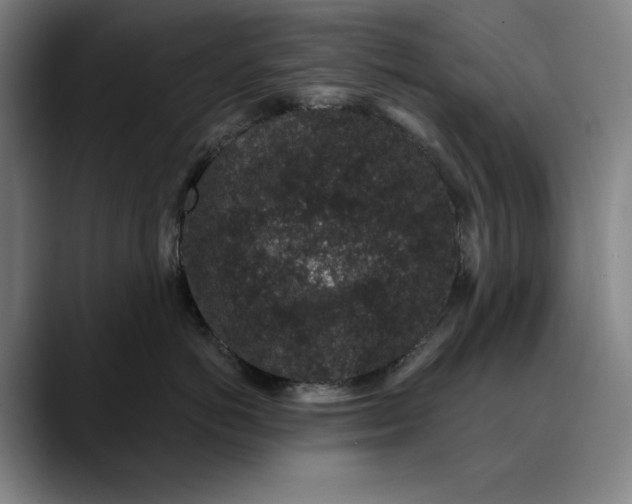 X0000088670766200706141336