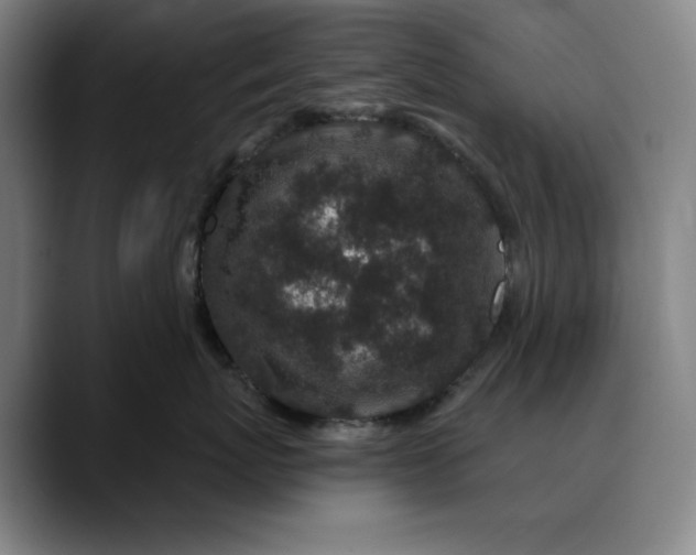 X0000088670767200706141336