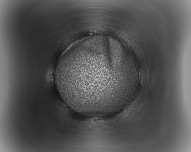 X0000088670770200706141335