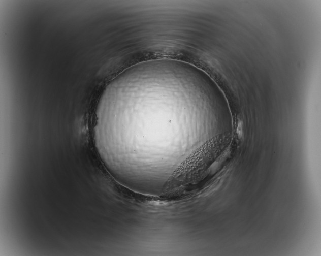 X0000088670771200706141335