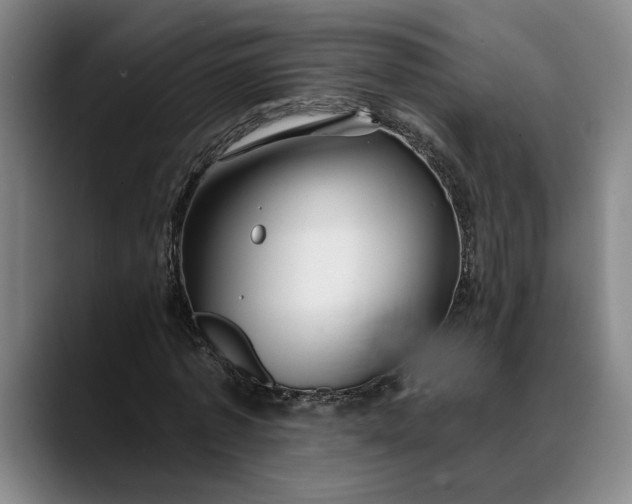 X0000088670773200706141335