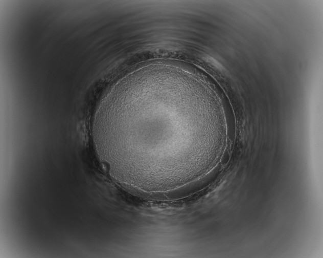 X0000088670774200706141335
