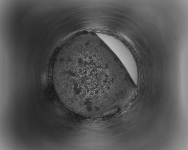 X0000088670775200706141335