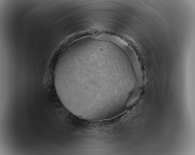 X0000088670776200706141335